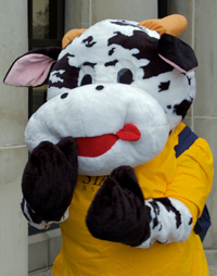 Henry Herder is the mascot for Do U Herd, a program aimed to promote critical thinking when it comes to life choices such as alcohol consumption. Photo by Anthony Vence.