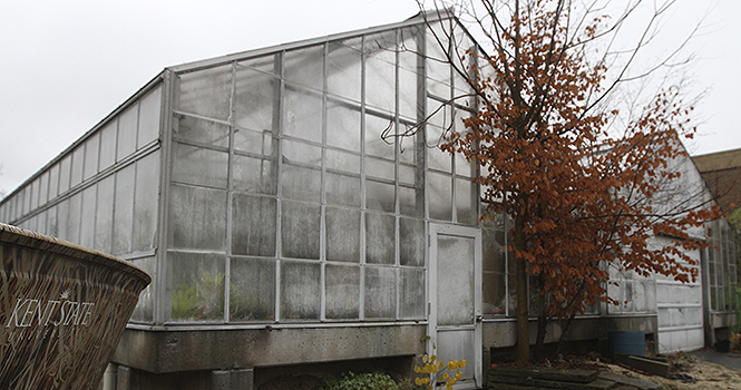 The Kent State greenhouse, located behind the library, is due for renovation, and a conflict of interest has come up while faculty members wait for the construction to begin. Photo by Chelsae Ketchum.