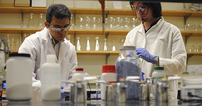 A professor guides junior biotechnology major Alek Nielsen as they participate in research in the biomaterials lab in the liquid crystal building on Friday, September 14. The project involves stem cell research and could last for 5-6 years. Photo by Jenna Watson.