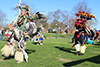 Powwow brings Native American heritage to campus