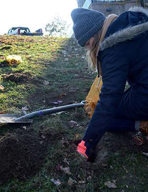Maggie Lohmann, sophmore student service leader, plants bulbs at the May 4 Memorial planting Saturday, Nov. 15, 2014.