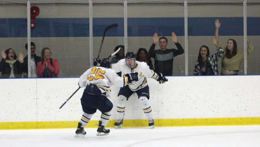Forward, Jared Fielden (#25), skates toward fellow forward and assistant captain, Chad Parise, after Chad’s game winning goal in the ninth round of the shoot out, ending their 4-3 victory over Duquesne Friday, Oct. 23, 2015.