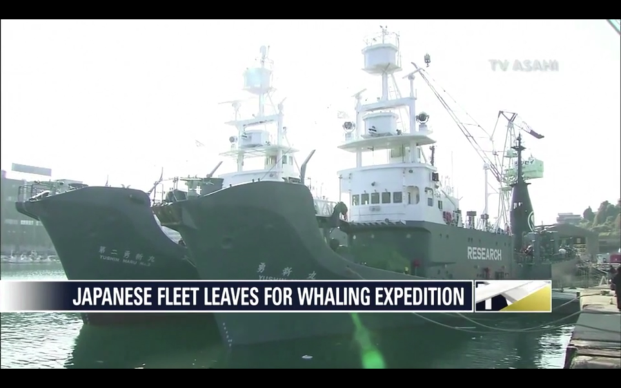 Japanese whaling fleet prepares to depart for Antarctica
