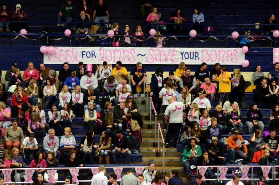 Spectators fill the stands of the M.A.C. Center at the Flip for the Cure gymnastics meet on Friday, March 4, 2016 