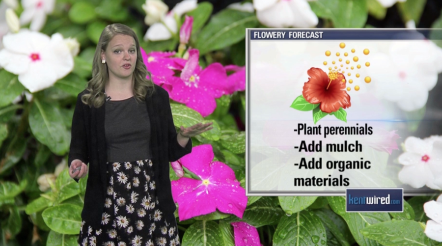 Anna Huntsman has some tips for gardening at this time of the year.
