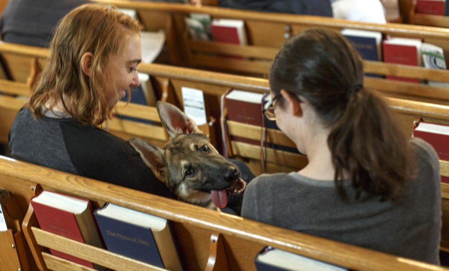 Jensen (middle) sits between Myara and Amanda Morrison at the Blessing of the Animals service at Christ Episcopal Church in Kent, Ohio on Sunday, Oct. 2, 2016.