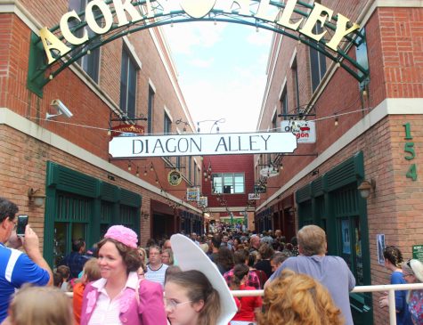 Harry Potter enthusiasts crowd Diagon Alley in downtown Kents Acorn Alley for Potterfest on Saturday, July 30, 2016. 