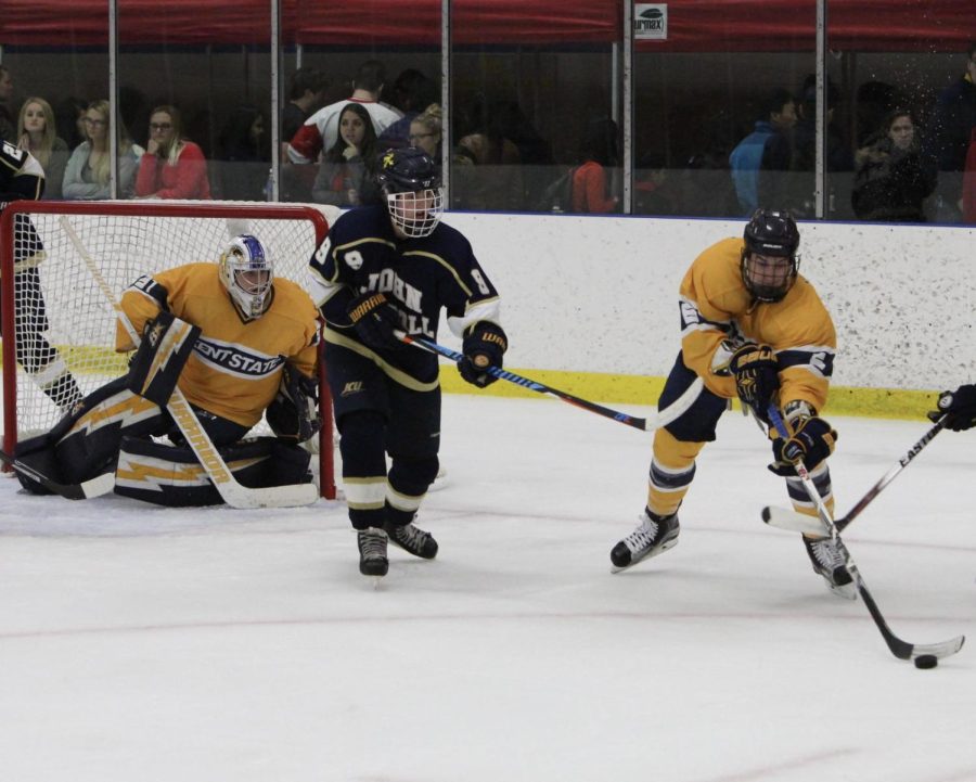 Hockey exits playoffs in tournament semifinals, Michigan-Dearborn takes top spot