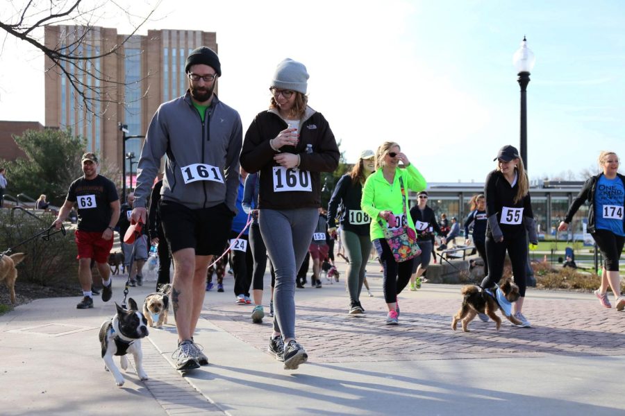 Participants walk their dogs along the Esplanade on Sunday April 9, 2017 during the Furry Friends 5k event, sponsored by CHAARG and One-of-a-Kind Pets.