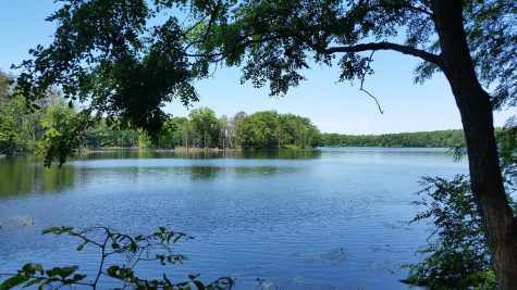The lake at Towners Woods in Ravenna, Ohio, on Saturday, June 3, 2017. 