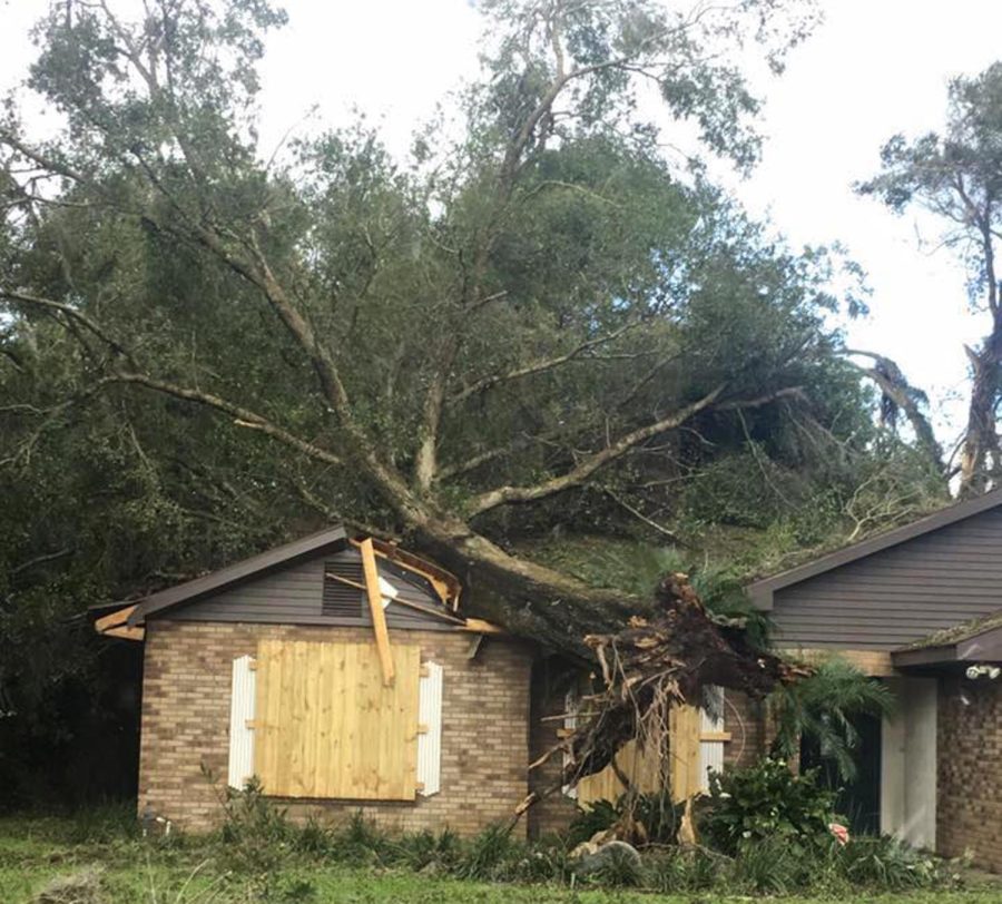 An uprooted tree sits on top of a Florida home after Hurricane Irma.