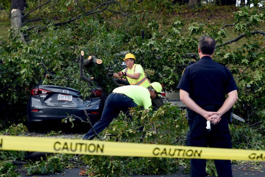 Kent State University groundskeepers clear debris from multiple cars after a tree fell in the Korb Hall parking lot Oct. 13, 2017. 
