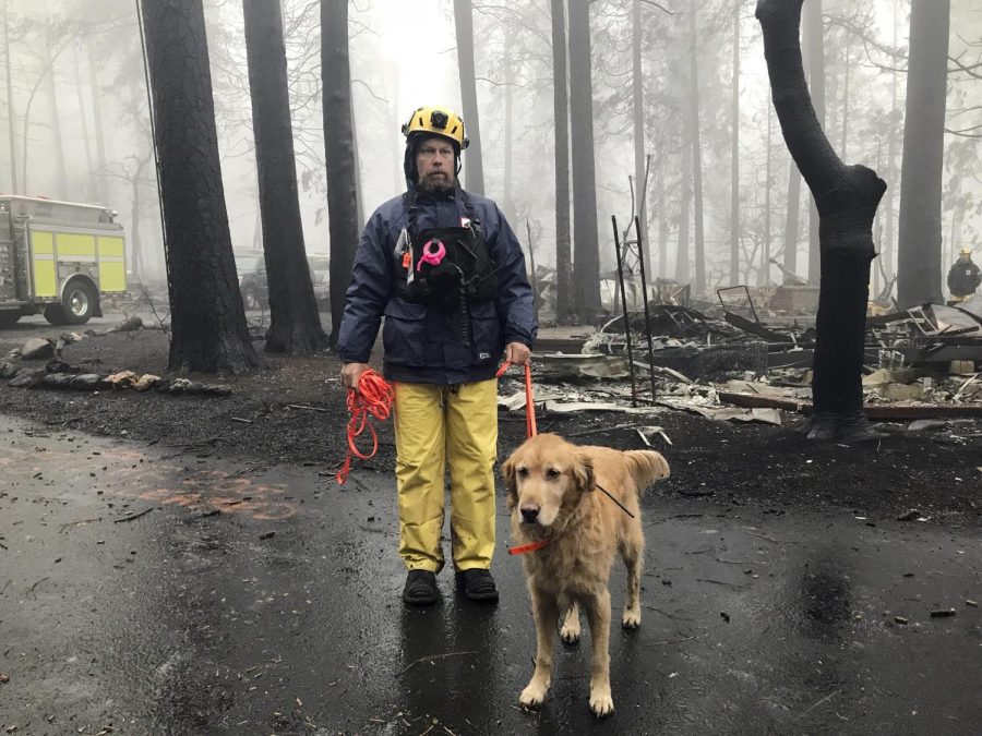 Eric Darling and his dog Wyatt are part of a search team from Orange County in Southern California who are among several teams conducting a second search of a mobile home park after the deadly Camp Fire in Paradise, Calif., Friday, Nov. 23, 2018. The team is doing a second search because there are outstanding reports of missing people whose last known address was at the mobile home park. They look for clues that may indicate someone couldnt get out, such as a car in the driveway or a wheelchair ramp. (AP Photo/Kathleen Ronayne)