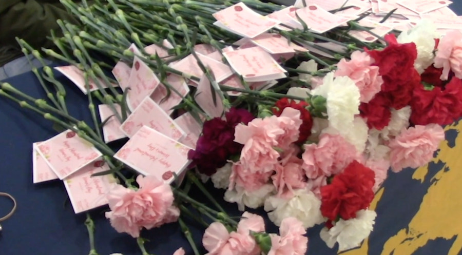 Carnations+were+distributed+in+celebration+of+International+Womens+Day.%C2%A0