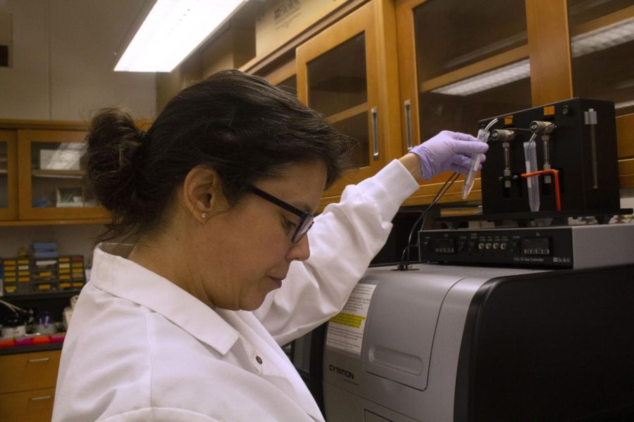 Lydia Heemstra, PhD candidate in biological sciences, changes the liquids of the spectrophotometer, or plate reader, before sending a plate through that will extract data from the rats she experimented with.