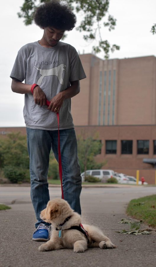 Ethan Clark walks his training dog Caocao around Kents campus. Caocao is only about nine weeks old and is training to be a service dog through 4 Paws for Ability on October 2.