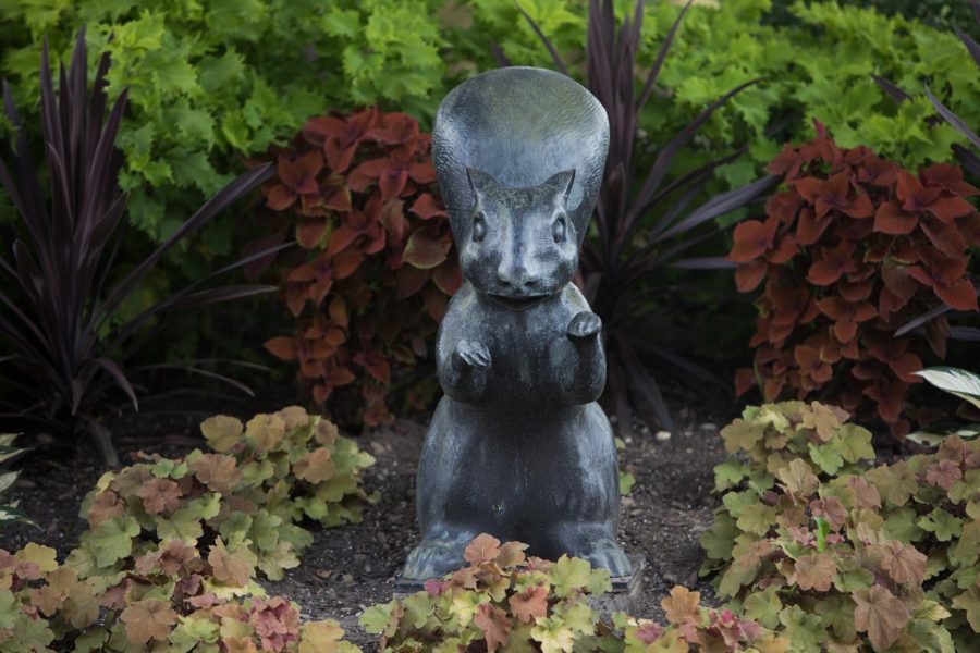 A black squirrel statue graces a planted bed between the library and Kent Student Center. 