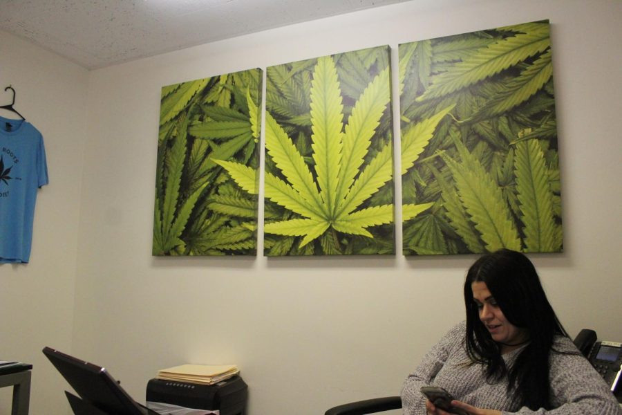 Akron+Marijuana+Card+office+manager+Maria+Bonvechio+sits+in+her+office+at+the+Akron+Marijuana+Card+Office%2C+November+19%2C+2019.+Bonchevio+also+manages+the+Youngstown+Marijuana+card+office.