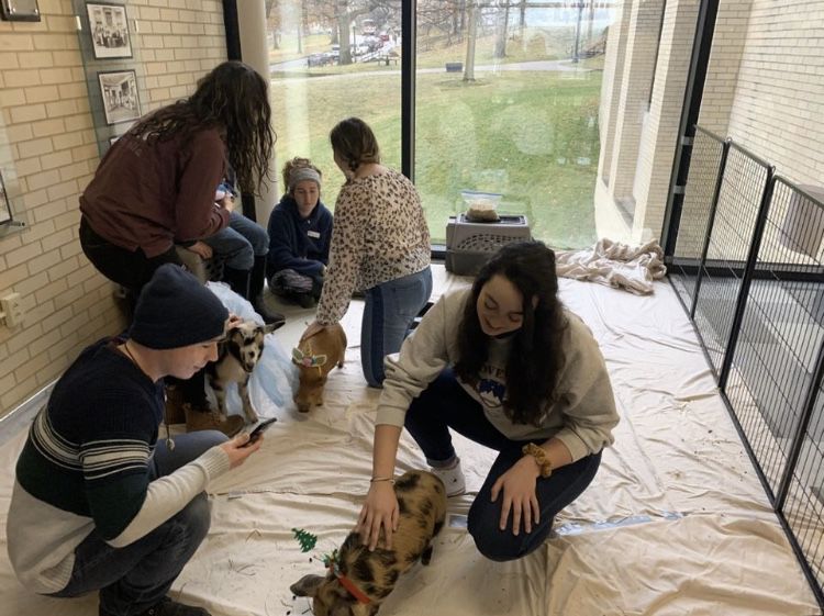 Students play with animals during a Pet-a-Pig event Dec. 4, 2019.