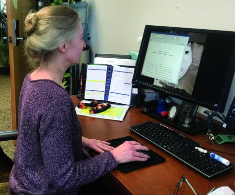 Professor Katherine Rawson, one of the lead researchers for the study habits grant, at her desk on Feb. 13, 2020. The study habits grant is from the National Science Foundation and will help Kent State professors improve students’ retention of material.