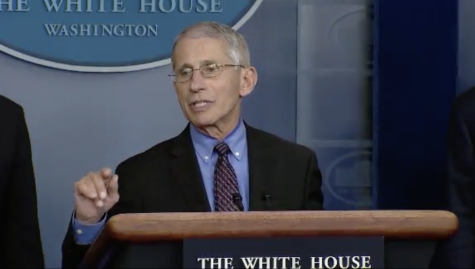 Fauci warns again about the US reopening as more evidence emerges of viruss early spread