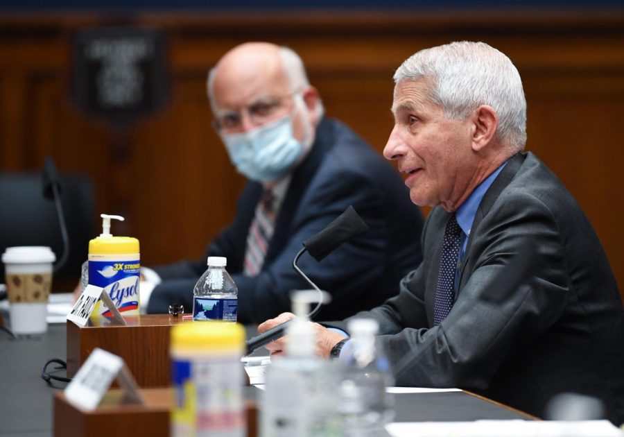 Coronavirus+task+force+member+Dr.+Anthony+Fauci+%28right%29%2C+Centers+for+Disease+Control+and+Prevention+Director+Robert+Redfield+%28left%29+and+other+top+government+health+officials+will+testify+before+a+Senate+Committee+on+June+30%2C+2020+on+the+latest+efforts+by+the+US+government+to+contain+the+pandemic.
