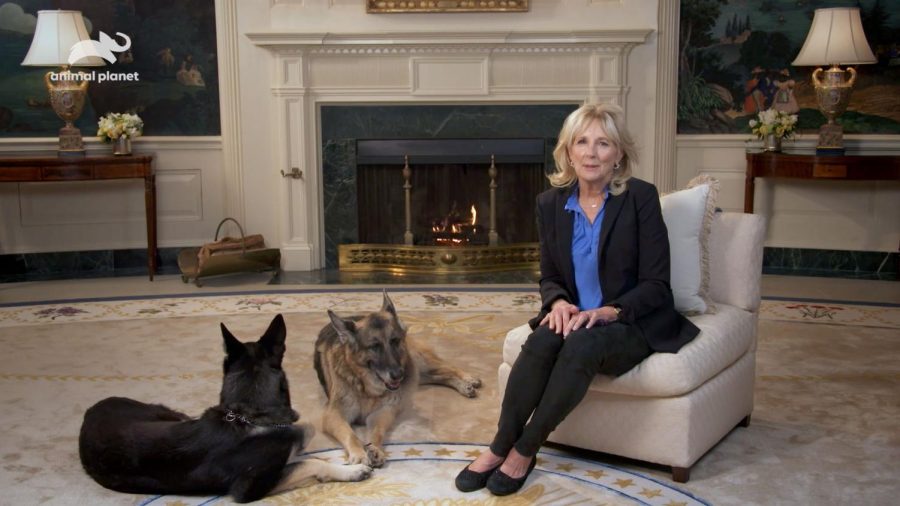 First Lady Jill Biden has filmed a public service announcement to air during the Discovery+ event, a beloved bit of alternative programming that runs on Super Bowl Sunday.