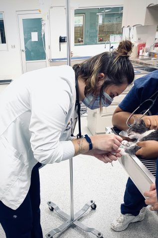 Taylor Ball (left), a senior veterinary technology major and president of the Vet Tech Club at Kent State Tuscarawas, practiced her skills in her surgery class. 