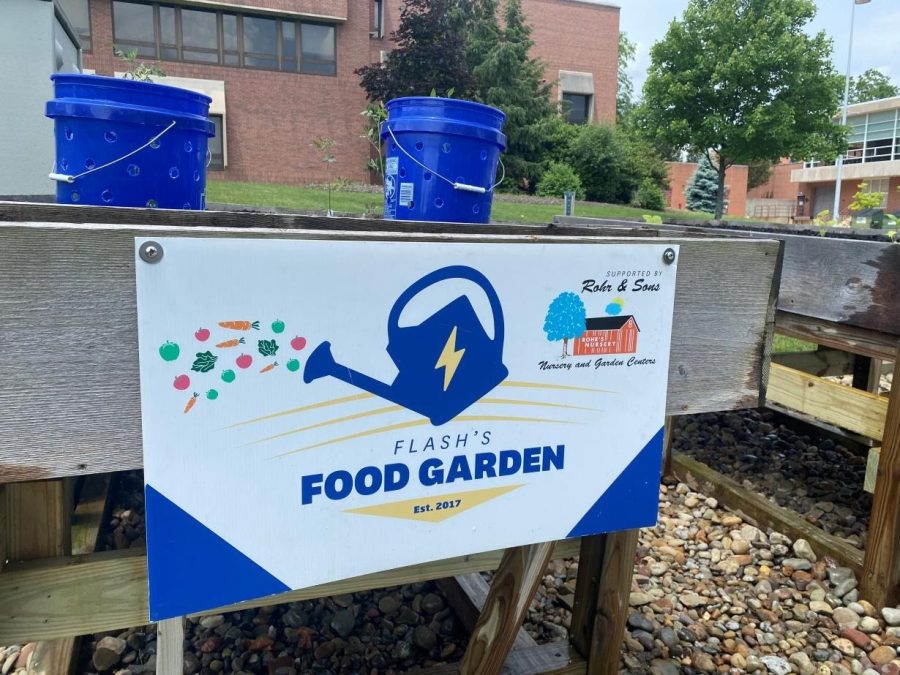 Flashs Food Garden was started in 2017 by Christopher Post of Kent State Stark.