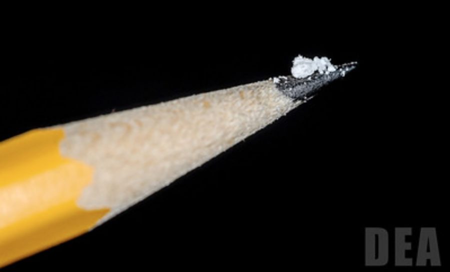An authentic lethal dose of fentanyl is displayed on the point of a number two pencil for size reference.