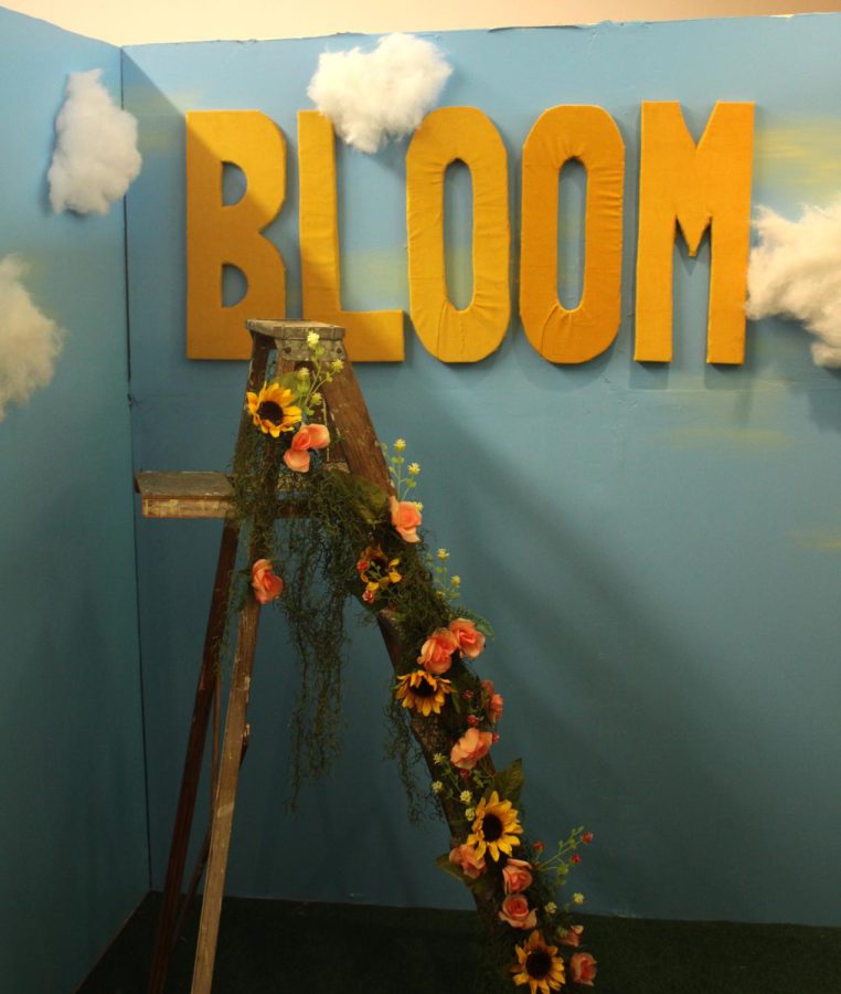 Bloom is a backdrop option at The Cultura Collective, a new selfie studio in Kent, Ohio. 