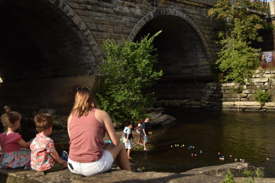 Families gathered on and under the bridge to watch the ducks drop, and assist with any ducks that got stuck on any rocks.