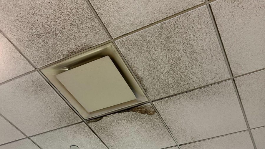 Mold surrounds a ceiling tile in Eastway Dining Hall. 