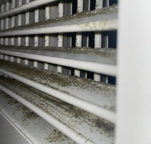 Mold lines the slats of a heating and cooling vent in Kent States Manchester Hall. Students reported mold in at least four resident halls on campus.