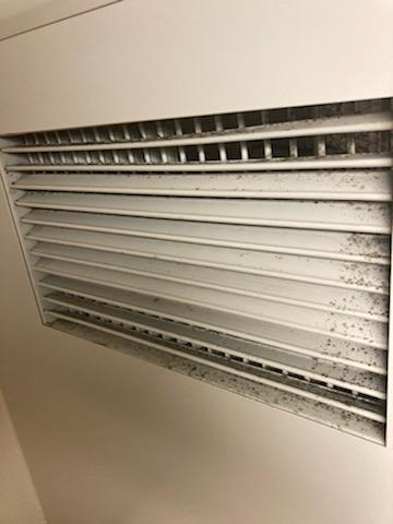 The mold reported in Hevin Wilkeys vent in Fletcher Hall