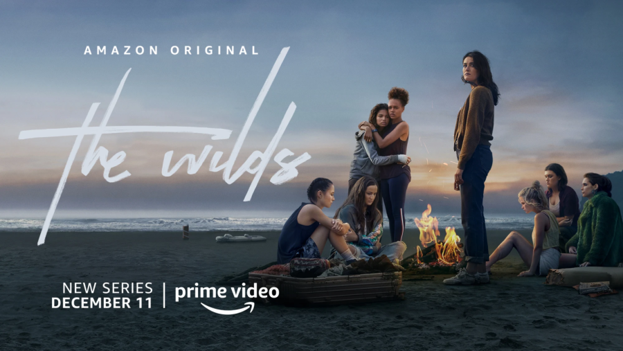 “The Wilds” is a discontinued show on Amazon Prime that follows a group of teenage girls who are stranded on an island.