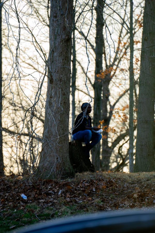 Sophomore Noel Lee relaxes with lunch on a stump on the hill adjacent to Eastway on Feb. 23, 2023. 