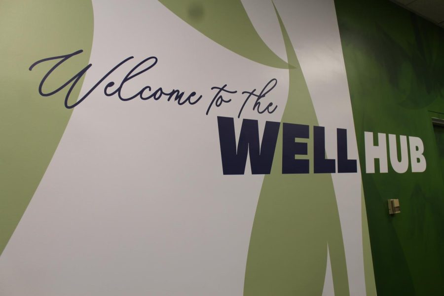 Wall art located in the Well Hub inside the Student Recreation and Wellness Center Feb. 22, 2023.