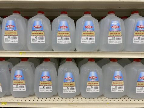 Jugs of water sit on a shelf at ACME. BORGs are typically made with half water, half alcohol and flavored with electrolytes or caffeine.