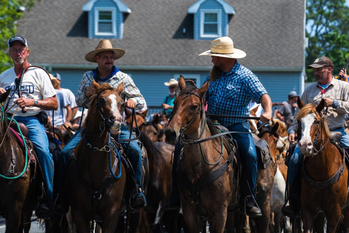 Saltwater cowboys direct a herd of wild ponies through the streets of Chincoteague, Virginia. This parade is part of the 98th annual Chincoteague Pony Swim on July 26, 2023.