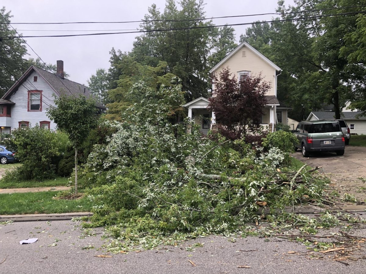 A tree is down on the front lawn of a house off Brady Street in Kent on Aug. 25, 2023. 