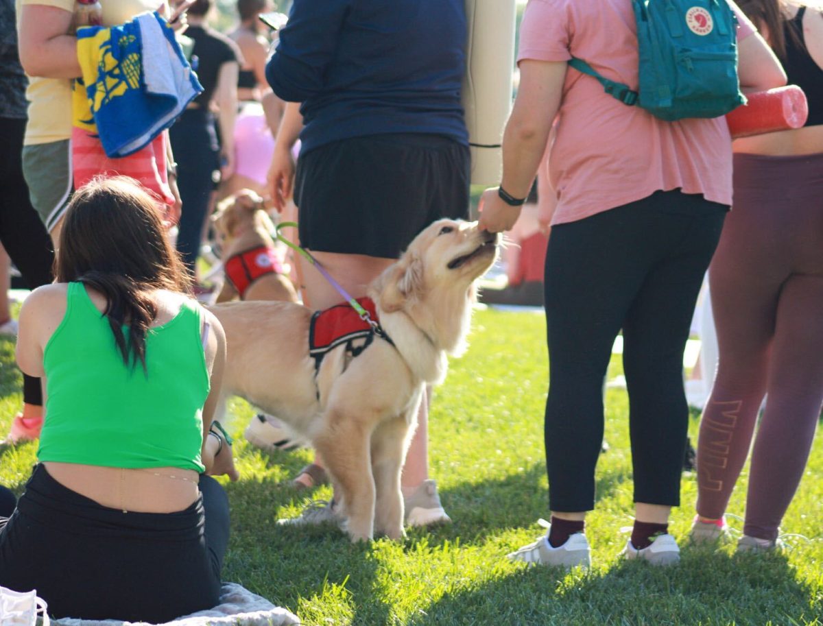 Erie & her owner Jenna Rose stops to say hi to several Kent state students who joined her for the Puppy Yoga Event held by FAB on Aug. 29, 2023!