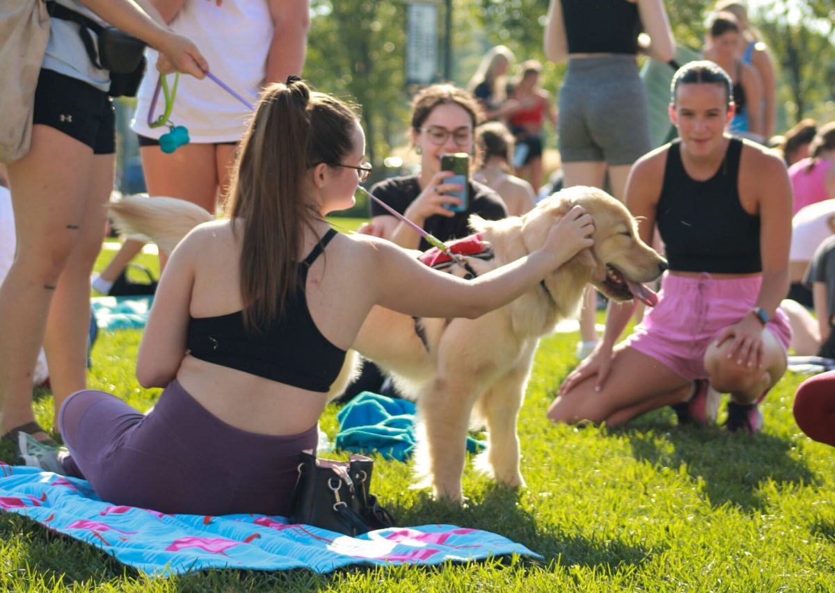 Eerie the Golden Retriever visits with Kent State students during the FAB Puppy Yoga Event held Aug. 29, 2023.