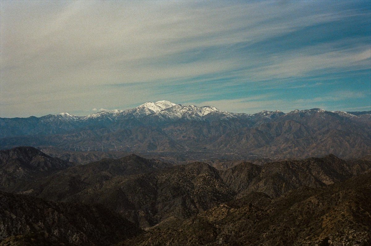 Warren’s Peak is located in Joshua Tree National Park in California.