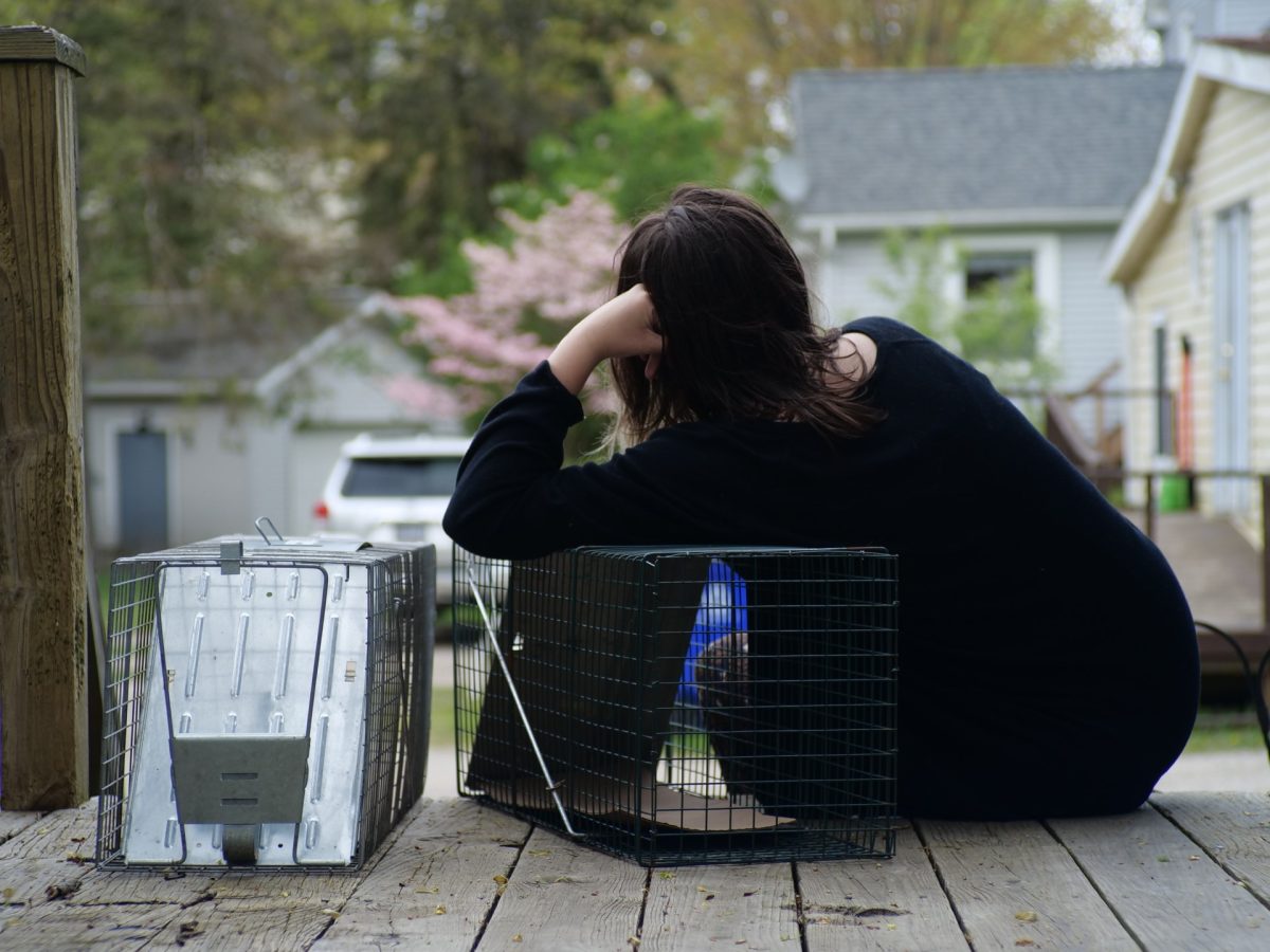 Raleigh Flanagan with humane cat traps.  She rehomes the cats she traps. (Courtesy of Raleigh Flanagan)