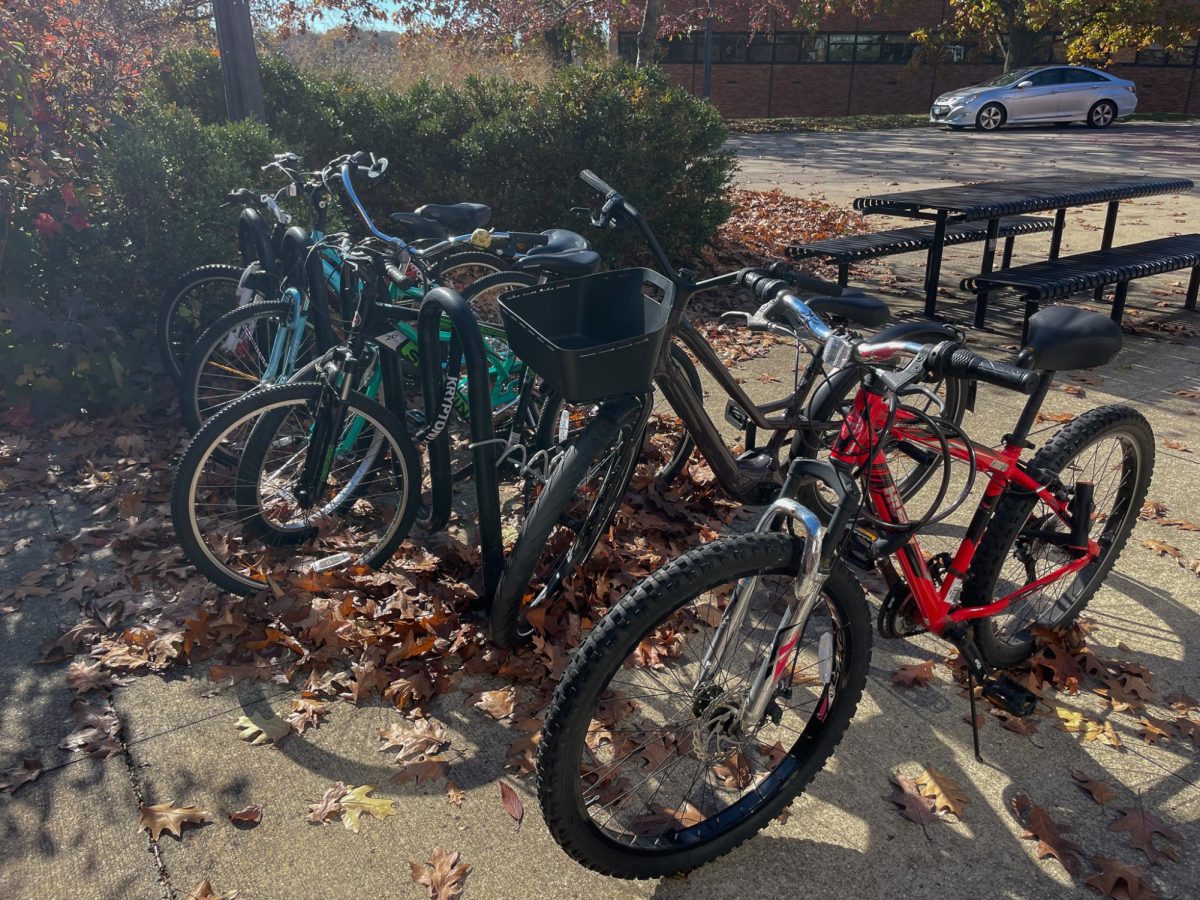 Bikes locked on the rack outside of Olson Hall Dormitory on November 3, 2023.