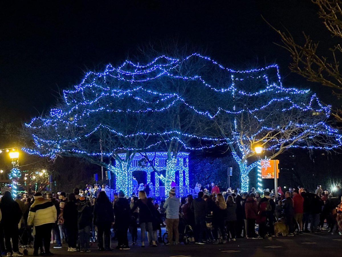PHOTO STORY: Festival of Lights rings in the holiday season