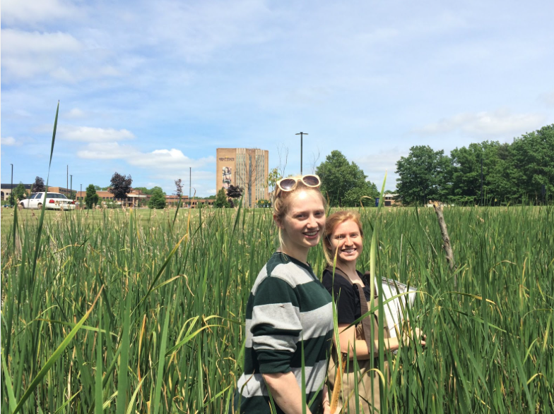 Former KSU undergraduate students Carlyn Mitchell and Taylor Michael. They are collecting samples in the Campus Center Water Quality Basins wetland.