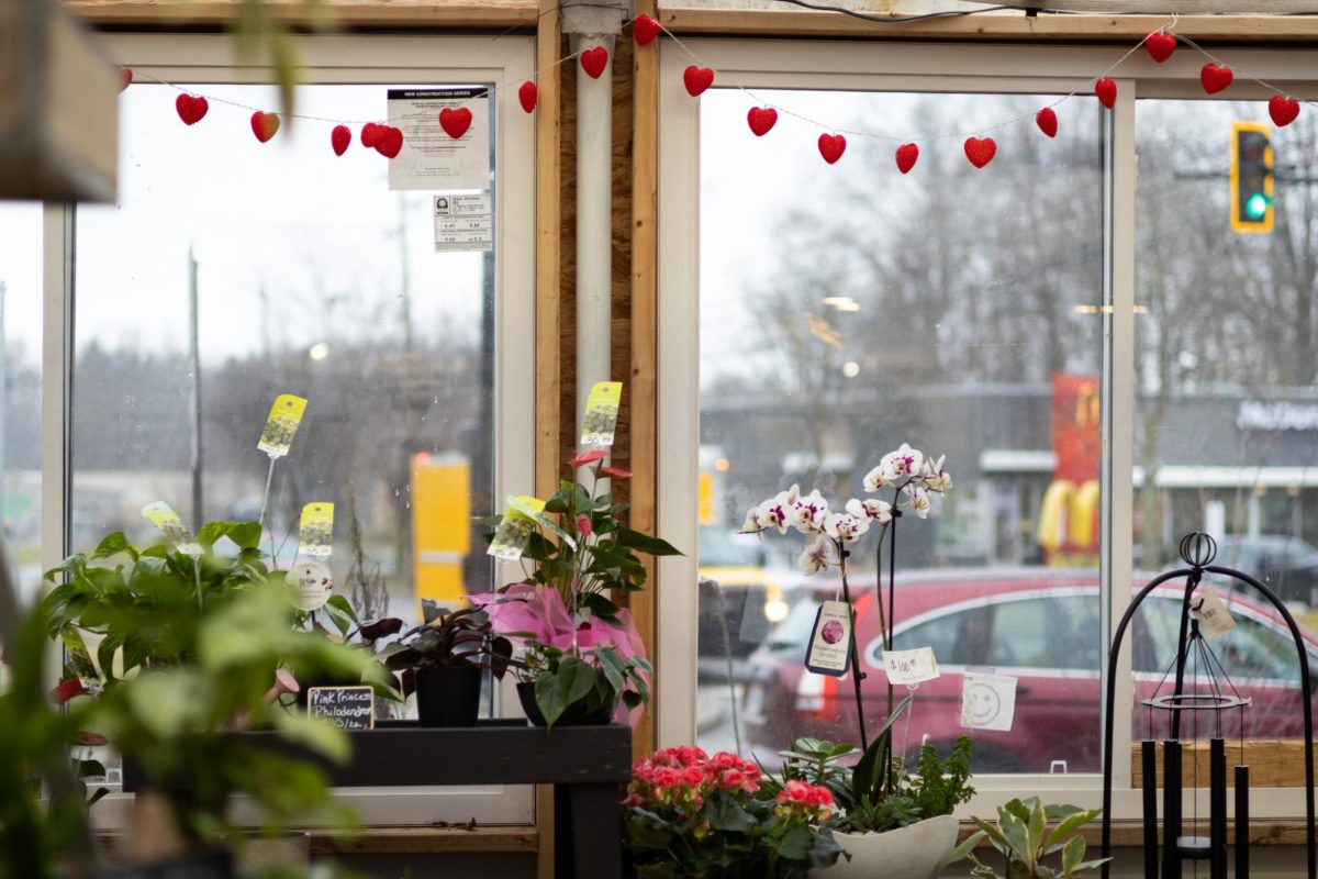 The greenhouse at Acorn and Evergreen Floral Studio is adorned with heart decorations on Jan. 29th, 2024.