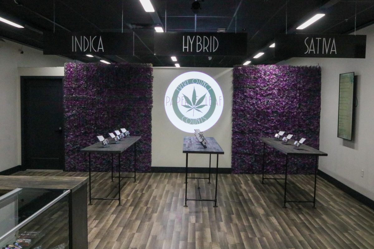  Indica, Hybrid and Sativa are among the different types of hemp on sale at Kents new hemp shop, Paper & Leaf, on Jan. 27, 2024.